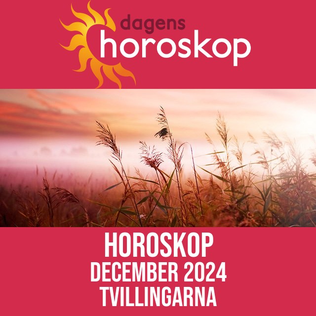 Tvillingarna: Horoskop December 2024