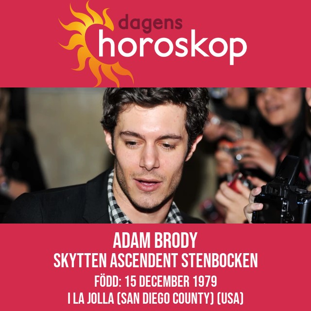 Adam Brody: Stjärna i Skytten